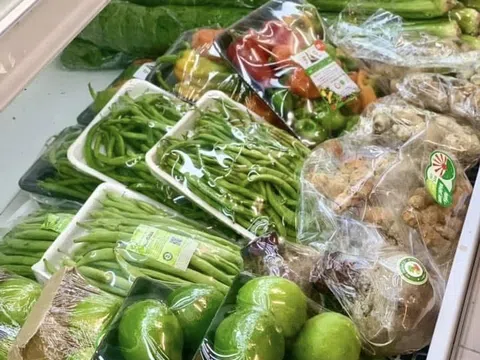 Cơ hội 10 tỷ USD rau quả xuất khẩu và yêu cầu nâng chuẩn chất lượng, bao bì