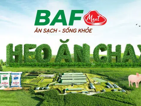 Dòng tiền âm, nợ vay tăng hơn 1.000 tỷ đồng sau một quý: Điều gì đang diễn ra tại BAF Việt Nam?