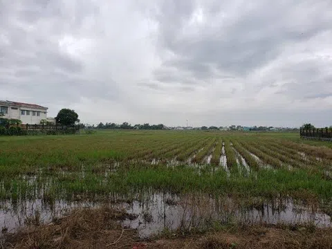Ba dự án, một chủ đầu tư và những khoảng trống pháp lý được thanh tra làm rõ
