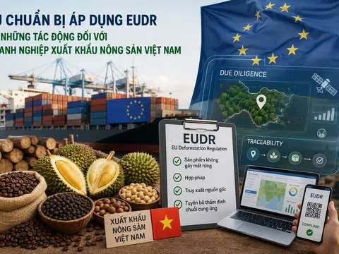 EU chuẩn bị áp dụng EUDR và những tác động đối với doanh nghiệp xuất khẩu nông sản Việt Nam