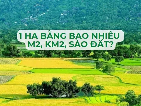 1 hecta bằng bao nhiêu m2, km2, sào đất?