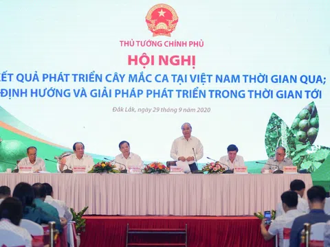 Thủ tướng Nguyễn Xuân Phúc đặt ra loạt vấn đề về trồng và tiêu thụ mắc ca