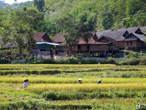 Tăng cường công tác hỗ trợ phát triển kinh tế - xã hội đồng bào vùng dân tộc thiểu số và miền núi