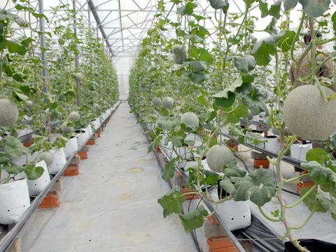 Các tiêu chí xác định doanh nghiệp công nghệ cao
