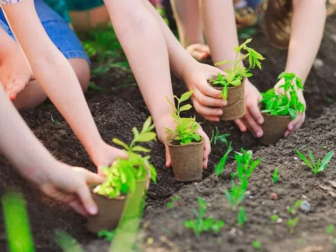 Trọng tâm 2021: Theo dõi thi hành pháp luật bảo vệ môi trường, quyền sử dụng đất