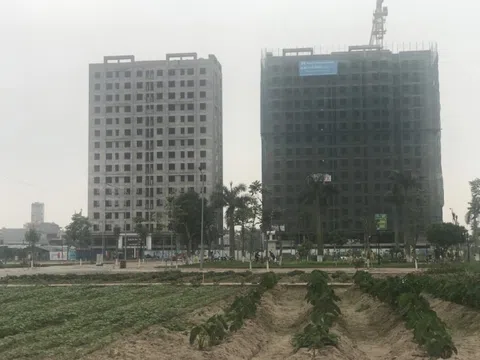 Hải Dương: Liệu có thất thoát ngân sách ở dự án Khu nhà ở phường Nhị Châu?