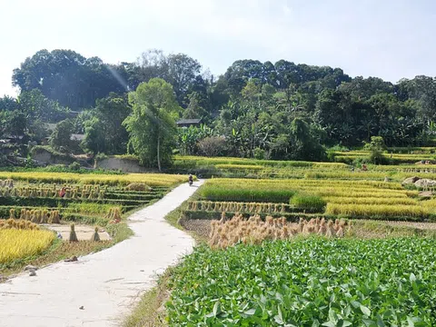 Vốn ngân hàng tiếp tục tới lĩnh vực ưu tiên, "bỏ qua" bất động sản, chứng khoán