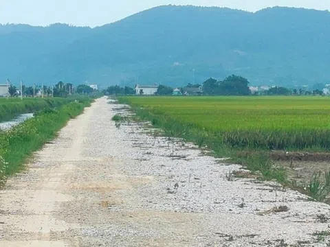 Hà Trung (Thanh Hóa): Chưa chuyển mục đích sử dụng đất, vẫn phê duyệt dự án