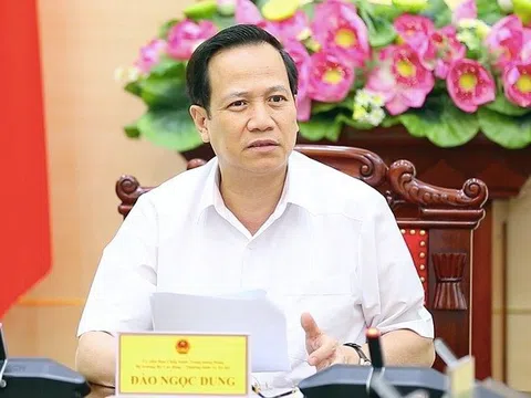 Xử lý nghiêm DN tiếp nhận, sử dụng lao động trái phép