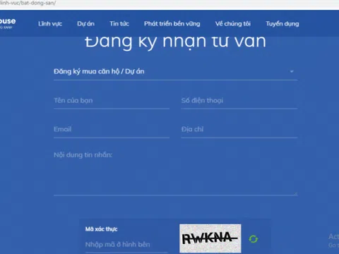 Capital House: Sử dụng website thương mại điện tử bán hàng “chui”