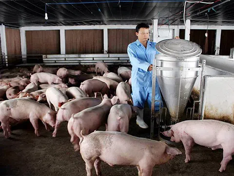 Miễn thu phí trong chăn nuôi đối với nhiều đối tượng