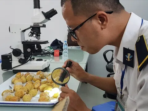 6 trường hợp được miễn phí kiểm dịch thực vật