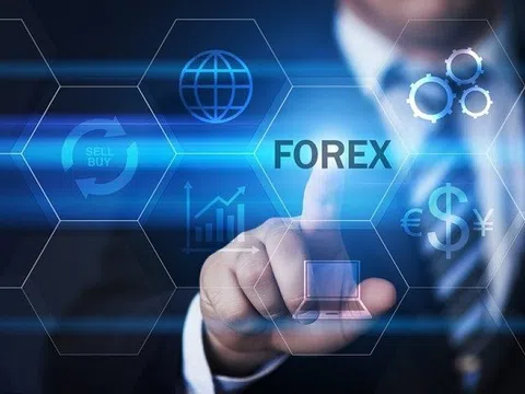Cảnh giác, tránh sa vào bẫy lừa đảo Forex