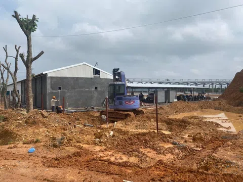 Phú Thọ: Chủ tịch huyện Tam Nông ở đâu trước sai phạm tại dự án Nhà máy gạch Takao Granite?
