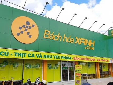 Bách Hóa Xanh hứa “bồi thường” cho khách hàng 100.000 đồng/lần mua hàng