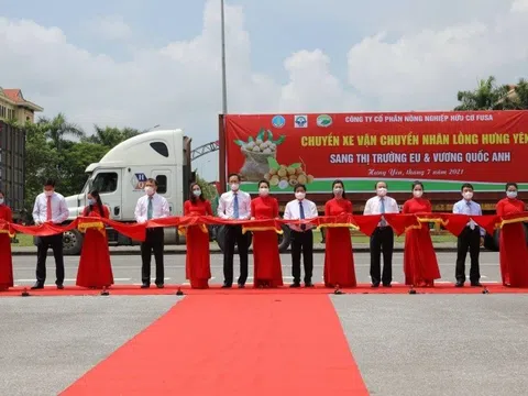 Những tấn nhãn đầu tiên chuẩn bị xuất khẩu sang thị trường Châu Âu