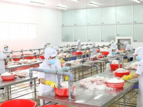 TP HCM: Doanh nghiệp thực hiện “3 tại chỗ”, đảm bảo sản xuất