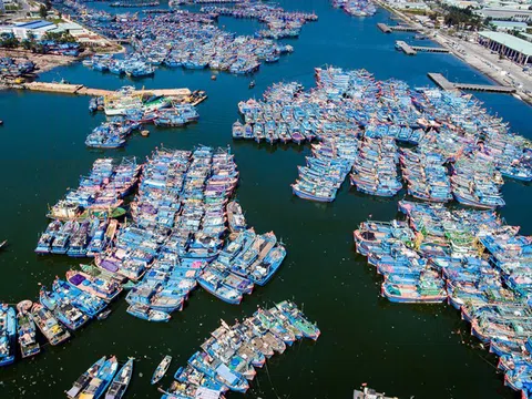 "Rùa bò" trong triển khai nâng cấp cảng cá lớn nhất Đà Nẵng