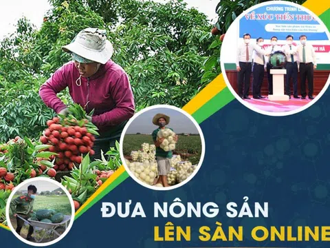 Giúp các hộ nông dân tham gia sàn thương mại điện tử