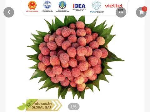 Vượt bão COVID – 19, nông sản Việt lên sàn thương mại điện tử