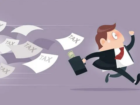 Nợ thuế gần nửa tỷ đồng trong 10 năm, một công ty bị cưỡng chế