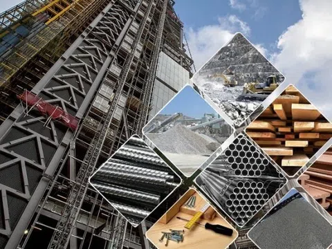 Cổ đông CNT bị phạt 100 triệu đồng vì không công khai khi giao dịch