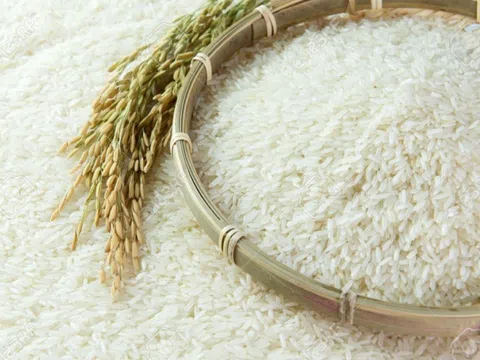 Xuất khẩu gạo giảm mạnh do tình hình dịch bệnh phức tạp