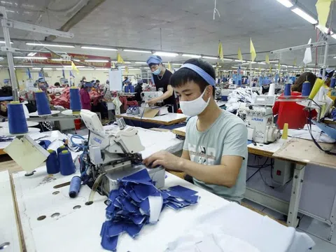 Dệt may Việt Nam: Đối mặt với nguy cơ đình trệ sản xuất