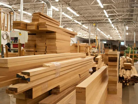 Bộ Tài chính không chấp thuận đề xuất tăng thuế xuất khẩu gỗ