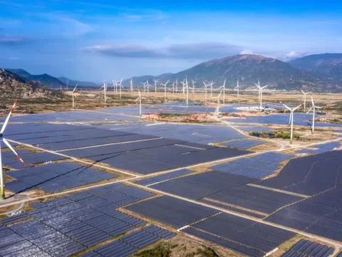 Ninh Thuận đề nghị khai thác tối đa công suất Dự án điện mặt trời Trung Nam Thuận Nam