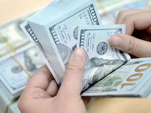 Tạm dừng giao dịch ngoại tệ với tổ chức tín dụng nếu không nộp báo cáo đúng hạn