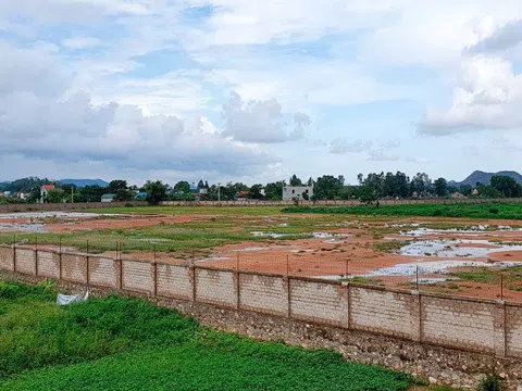 Thanh Hóa: 79 dự án chậm tiến độ hoặc không sử dụng đất