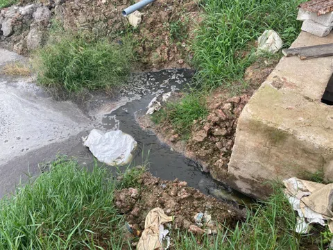 Thanh Hóa: Phát hiện thêm sai phạm tại dự án Trang trại chăn nuôi lợn, nuôi trồng thủy sản và trồng cây cảnh, cây dược liệu