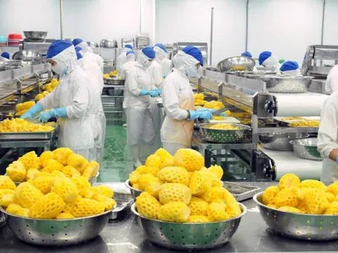 Khoá học Hướng dẫn thực hành 5S tại doanh nghiệp